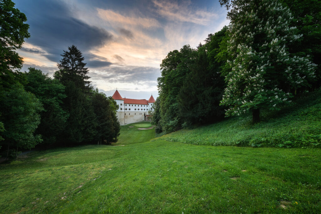 mokrice_foto_ales-krivec_25-1