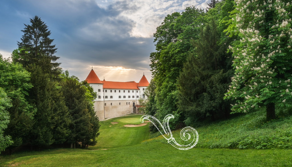 izdelek-brez-naslova-8-2